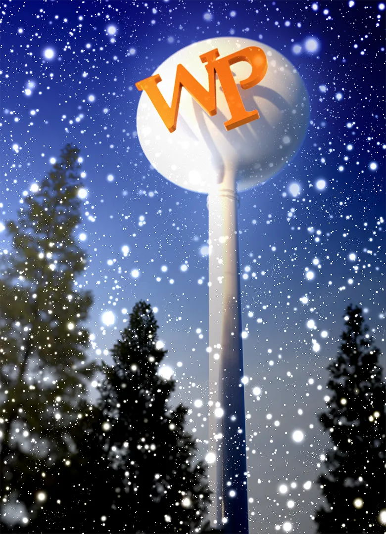 Holiday card illustration