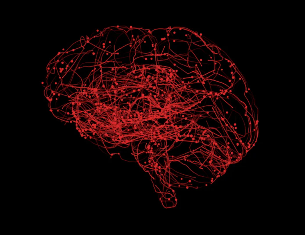 Brain digital illustration