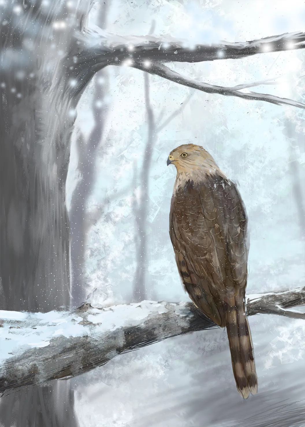 Hawk digital painting